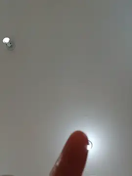 Laurinhasafad webcam