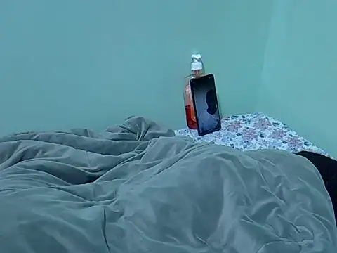 lainearia webcam