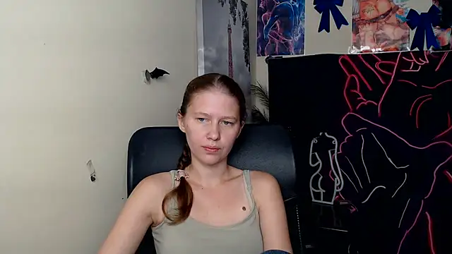 StellaCRL webcam