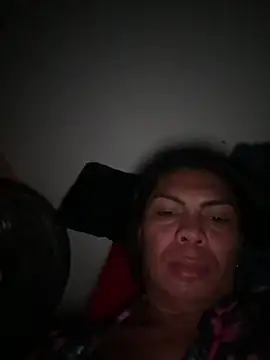 Bellatrans__