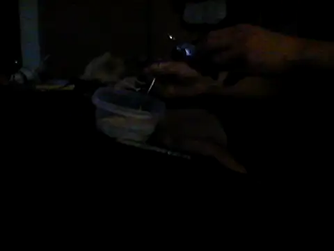 Silencio26 webcam