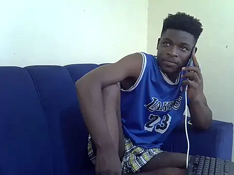 Remmy4 webcam