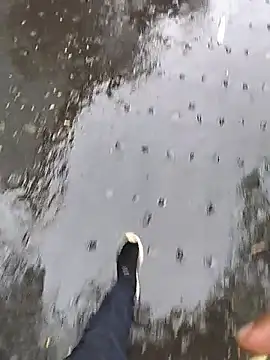subhjann12