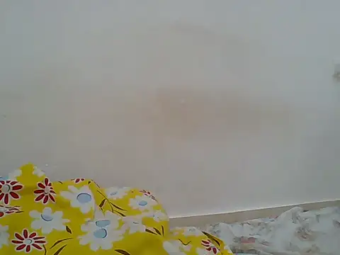hotty_assy webcam