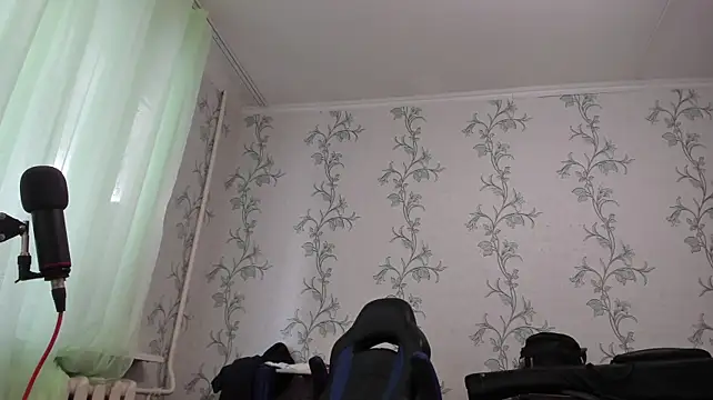 SanFrantsisko webcam