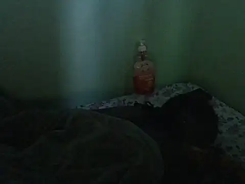 lainearia webcam