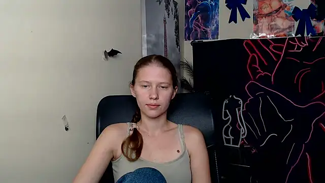 StellaCRL webcam