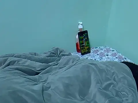 lainearia webcam