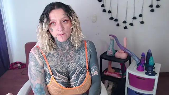 SLOPPYTITSS webcam
