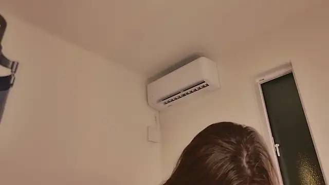 miRei- webcam