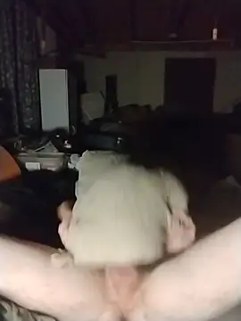 IDwaynes webcam