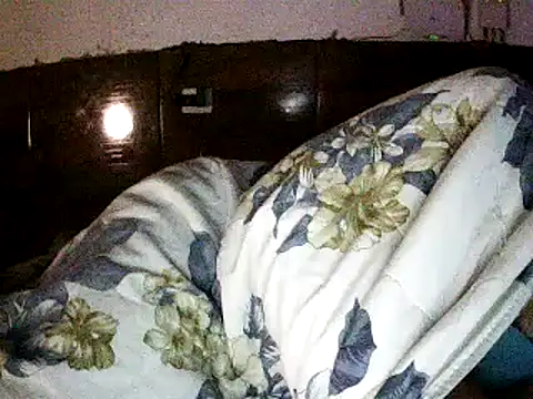 carvandy live cam on StripChat
