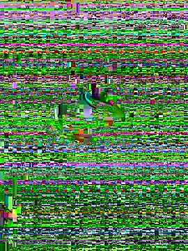 IORio_006 webcam