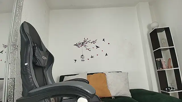 _Anais_Lanz webcam