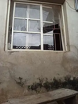 christmaco webcam