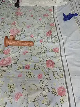 Saso-4 webcam