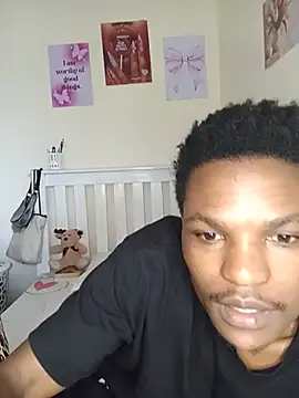 BigBrick_ webcam