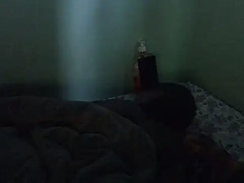 lainearia webcam