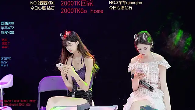 XZJJ-008 webcam