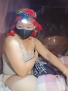Hiha-nn webcam