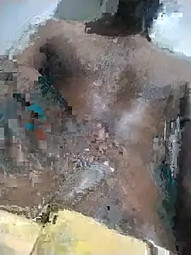 dilasajee webcam