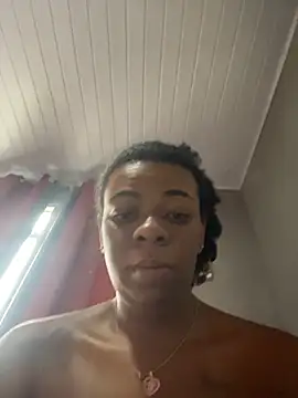 Priihmedeiros webcam