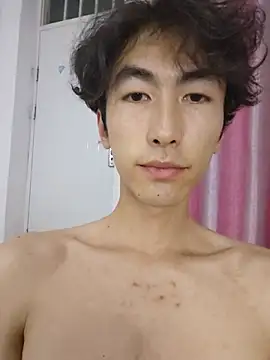 wangshuais webcam