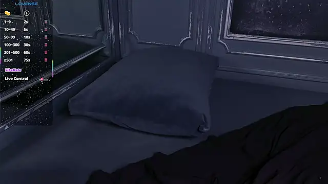 maya_snow webcam