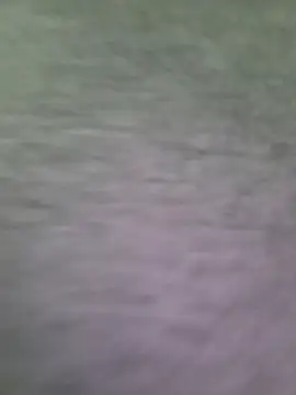 hotestanal webcam