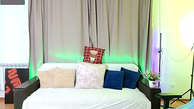 DianInav webcam