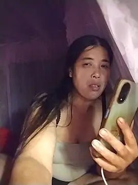 HIE10-3 webcam