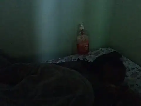 lainearia webcam