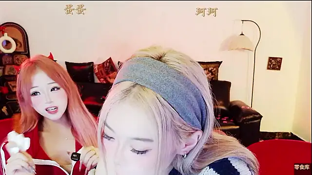 1-kedan webcam