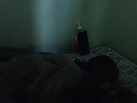 lainearia webcam