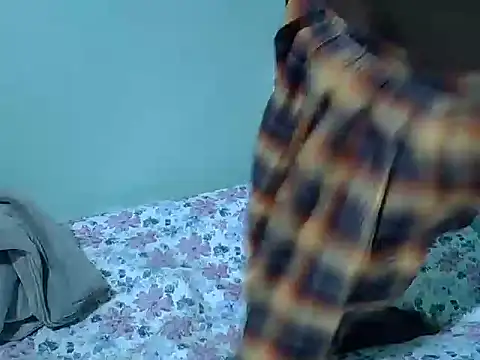 lainearia webcam