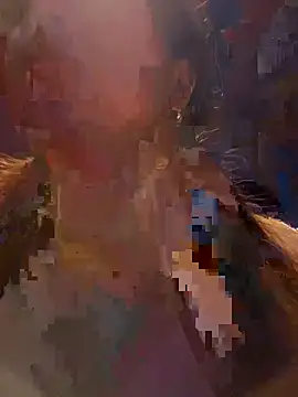 xianyu-ss webcam