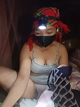 Hiha-nn webcam