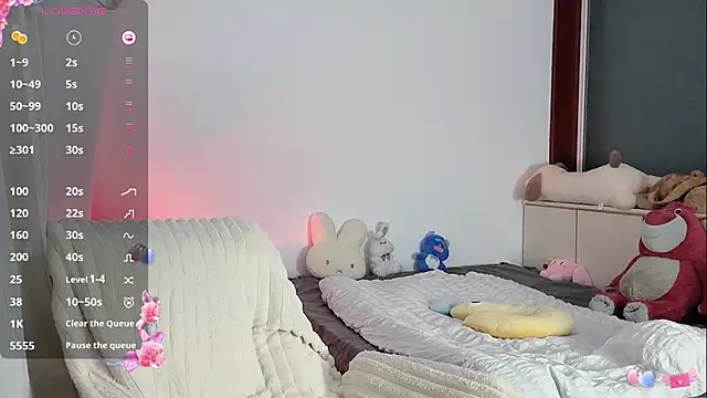 _flipped_ webcam