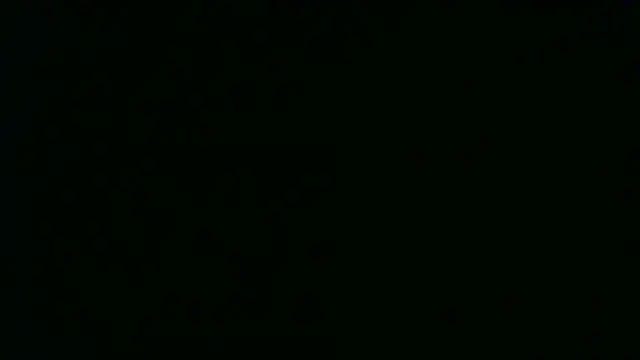 Ada-19 webcam