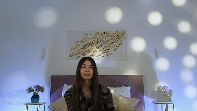Vi_fi webcam