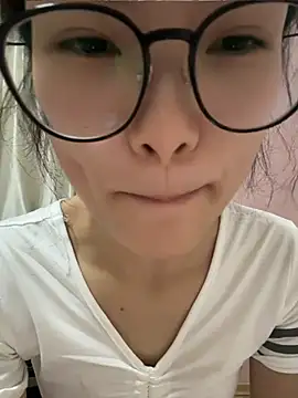 yanzi520 webcam