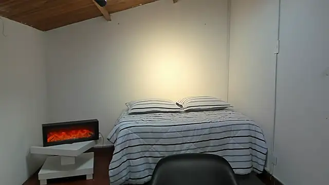 laylavg webcam
