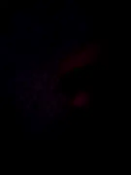 v310 webcam