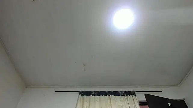 Perverse_Kim webcam