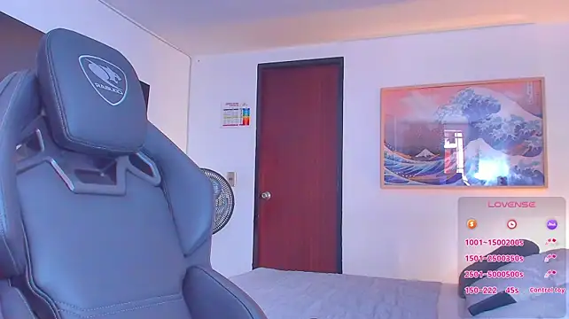 RJBarto webcam