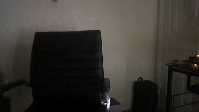 XDXD_XD webcam