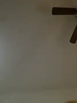 KITTYKATTPUR webcam