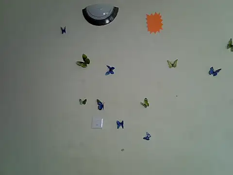 prettyshanz webcam