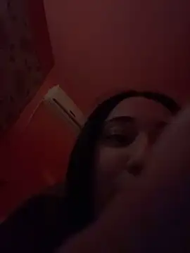 ICEGLOSS webcam