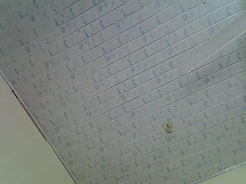 sassydiamond webcam